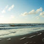 Beach Stock 5