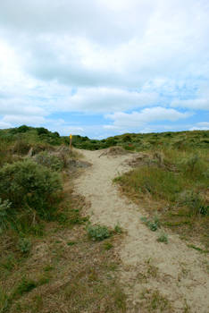 Dunes Stock 18