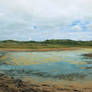 Dunes Stock 20