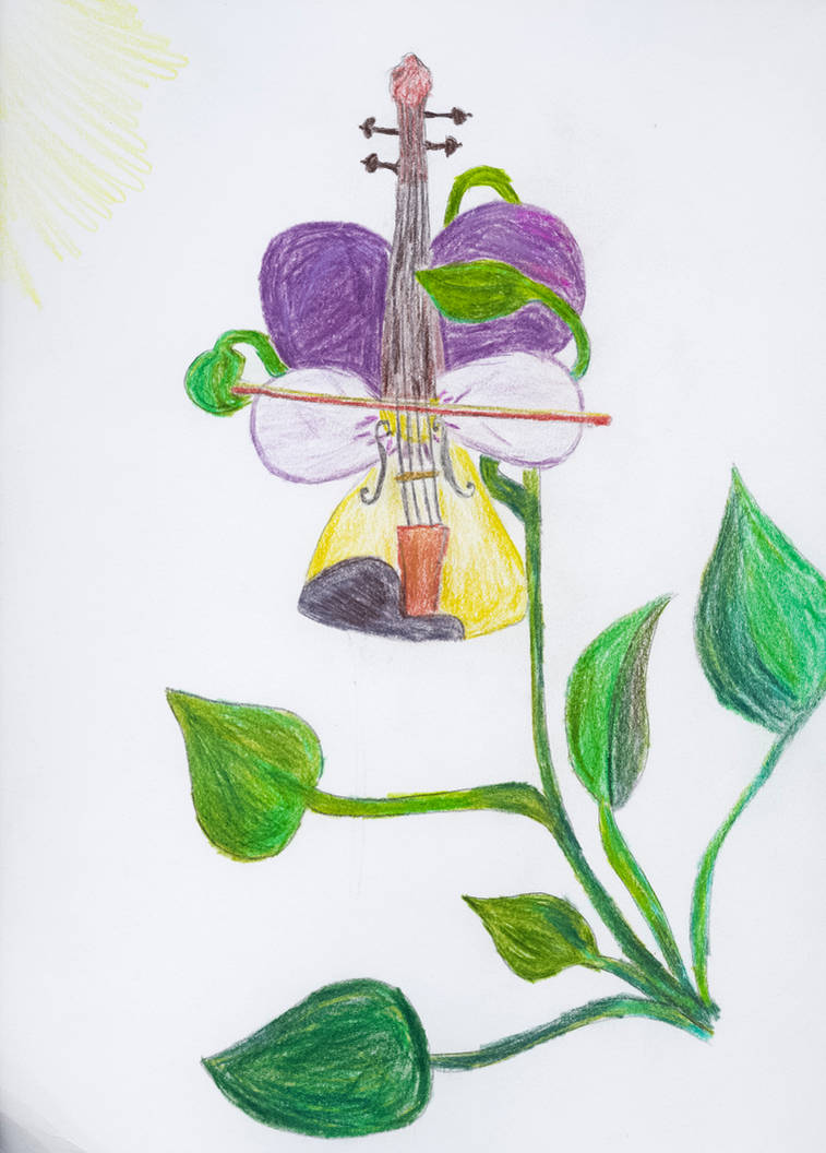 Violet Instrument Drawing Violet Playing The Violin by JohnlockedDancer on DeviantArt