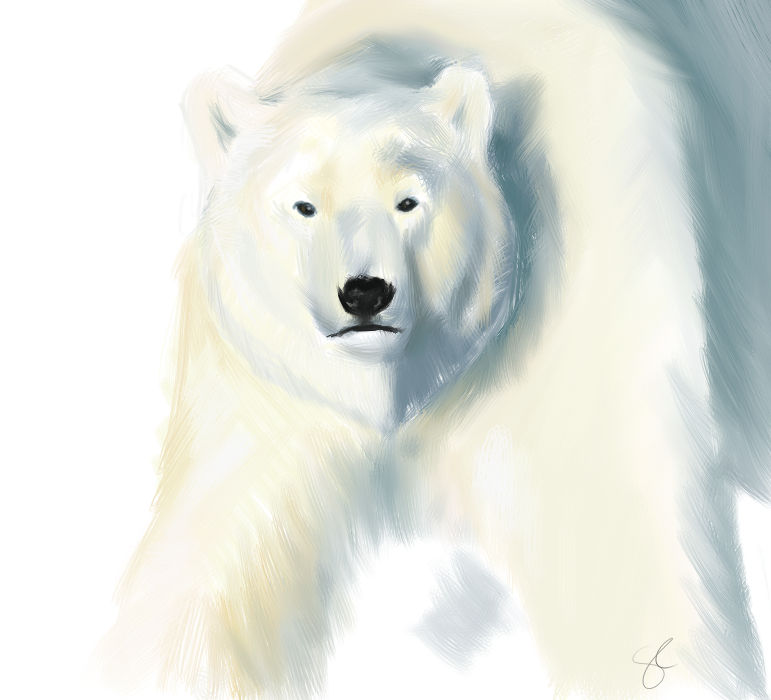 Speed Paint - Polar Bear by shayfifearts on DeviantArt