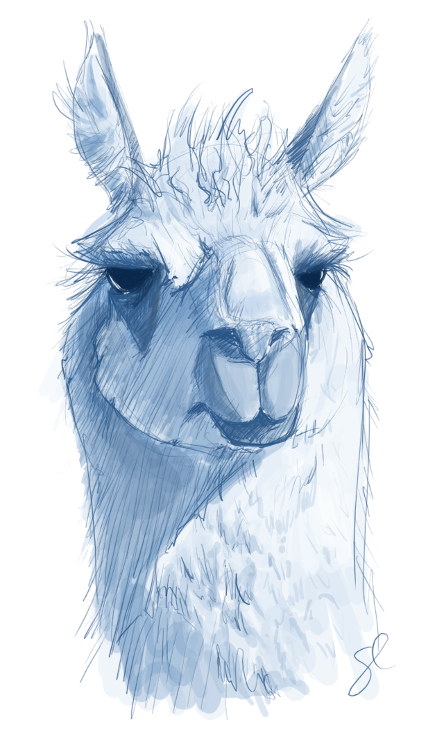 LLAMA