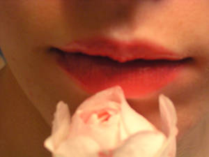 Rose Kisses