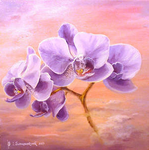 Orchids at sunrise... by Arterida