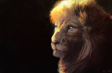 The Lion 6