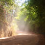 Road to the Waterfall