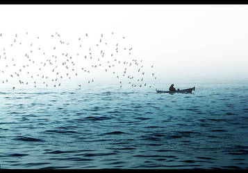 Seagulls  Fisherman