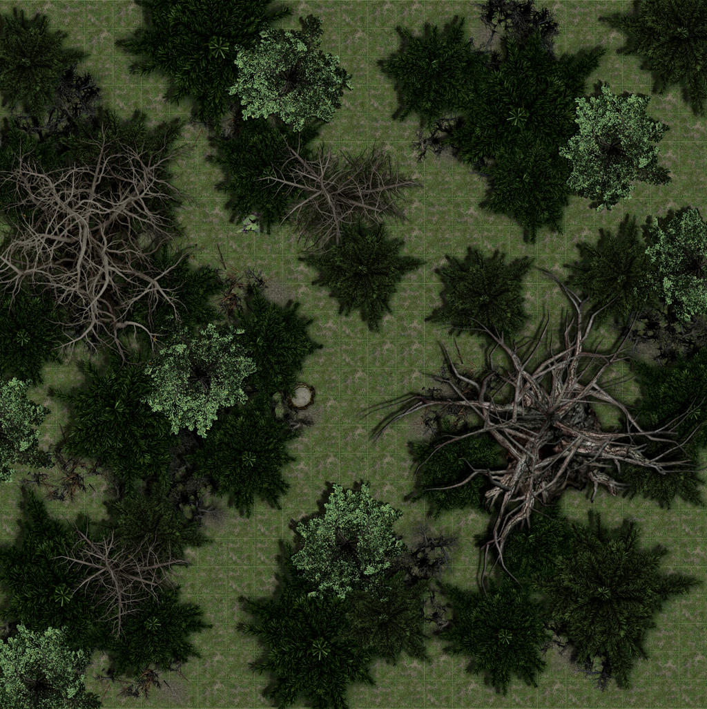 Forest Map by ReadyQuest on DeviantArt