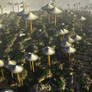 UFO Fungi