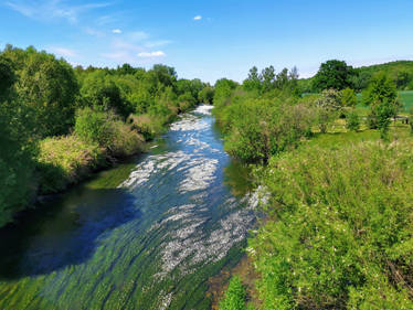 The flowering river