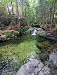 The emerald pond