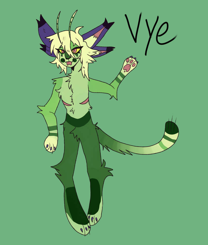 Vye Inverra Vye ref by Carlarzall on DeviantArt