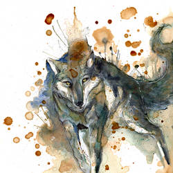 The Wolf O Ka Fee by RubisFirenos
