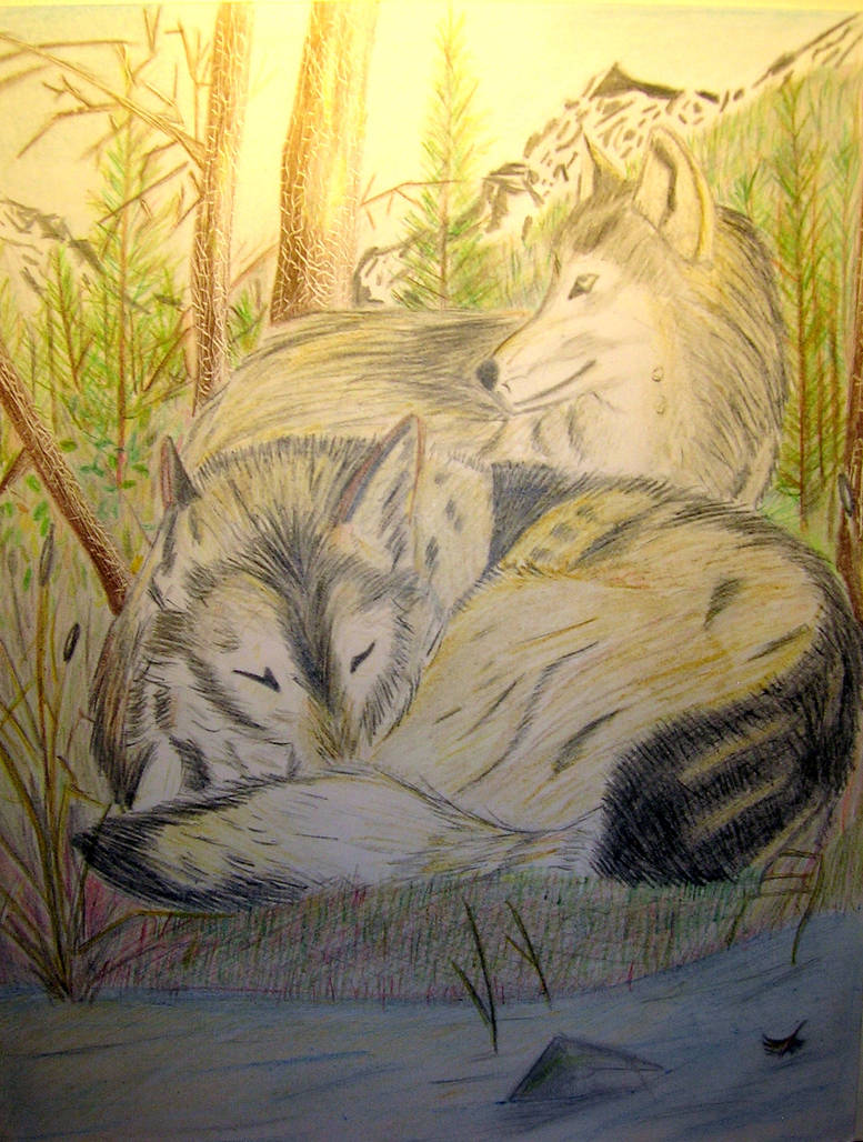 Early risers by BronzeWolf6216 on DeviantArt