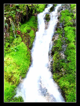 Mossy Falls