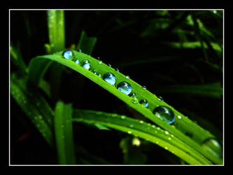 Water Droplets 2