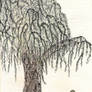 The Willow Tree