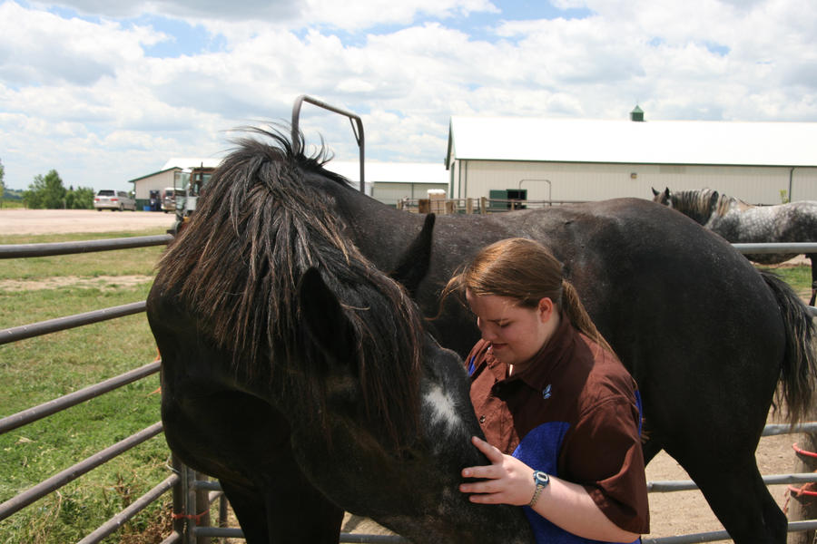 A Very Big Horse.