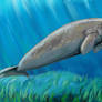 Prehistoric Dugong