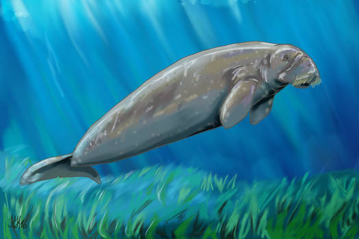 Prehistoric Dugong