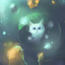 Bubble Cat