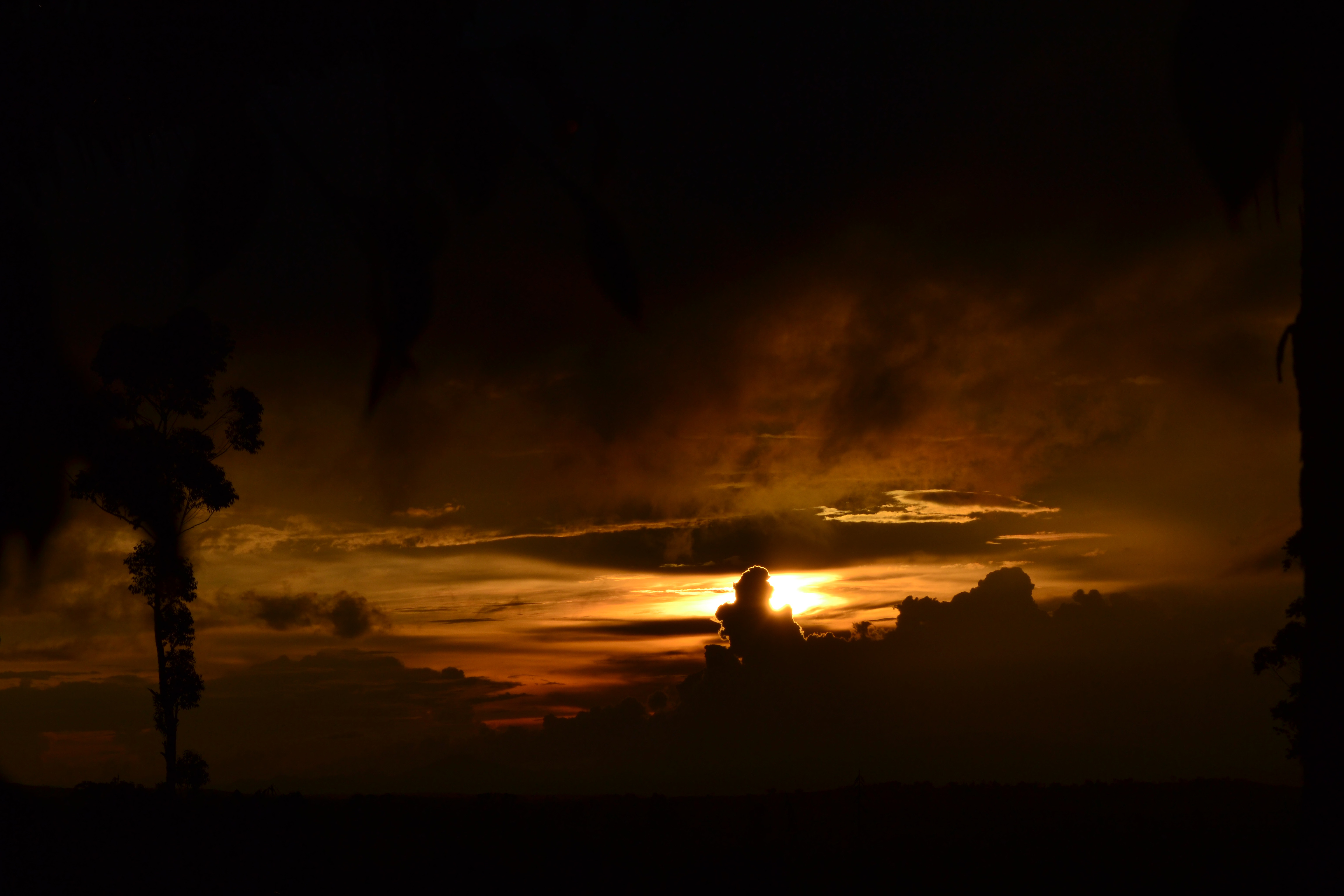 Twilight