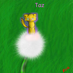 Taz- redone