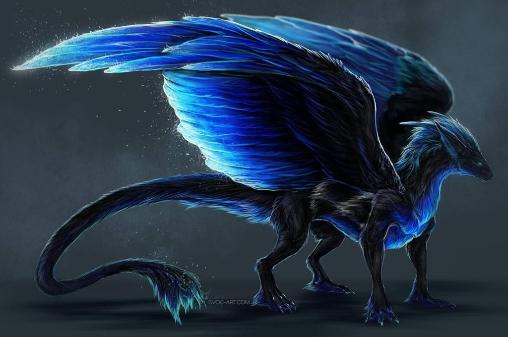 Midnight Dragon by IkonikDragonArt on DeviantArt