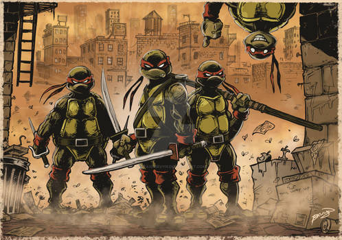 Craig Turtle craig-bruyn - Professional, Digital Artist | DeviantArt