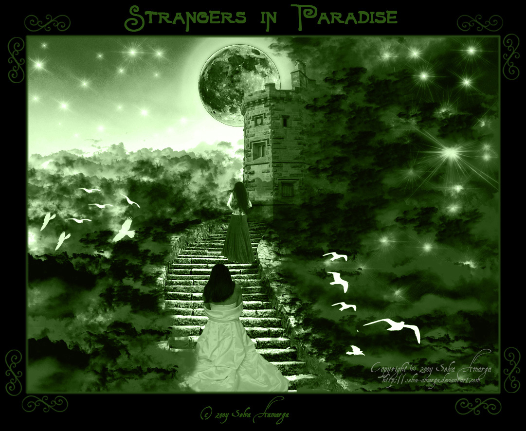 Strangers in Paradise