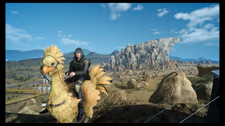 Chocobo Riding!