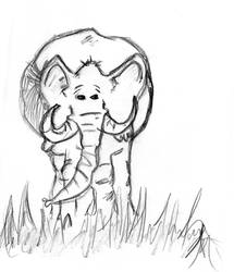 Elephant In Grass