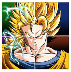 Goku's evolution
