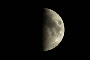 HALF_MOON