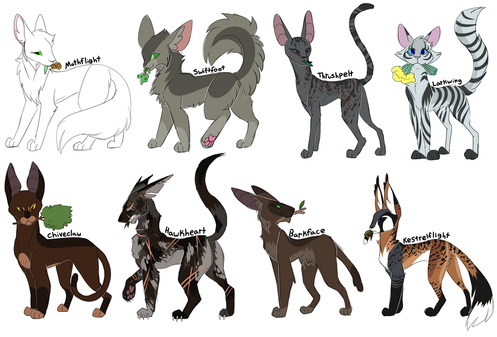 Every Windclan Medicine Cat Ever By Polyhexian On DeviantArt every-windclan-medicine-cat-ever-by-polyhexian-on-deviantart