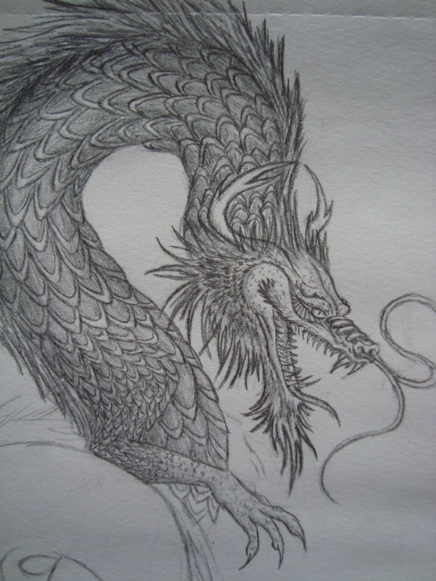 in progress: dragon