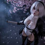 2B 2