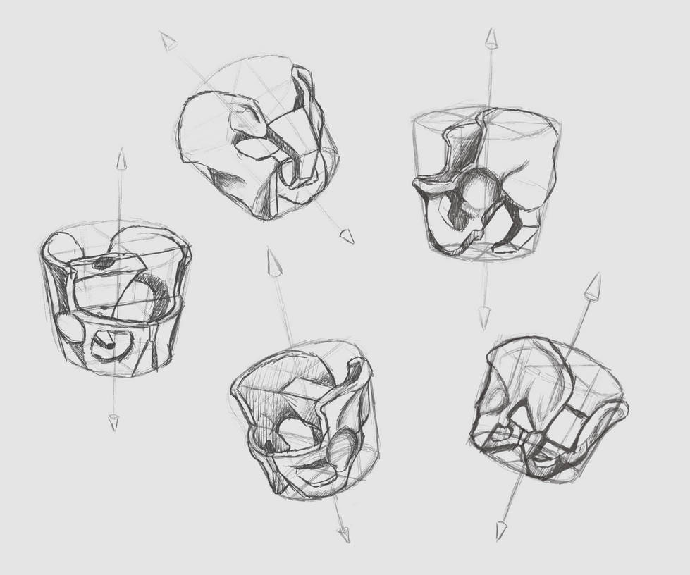 Pelvic (Bucket) Anatomy Excersice by iBunnyBun on DeviantArt