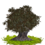 PNG TREE 3