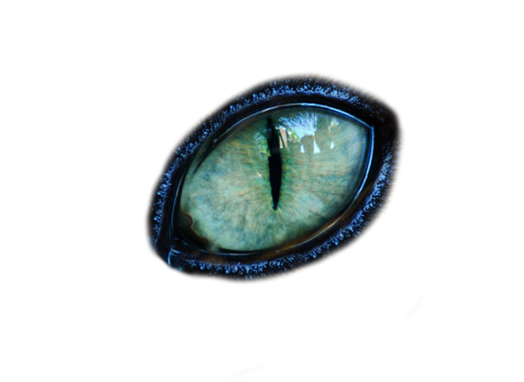 Cat eye deals transparent