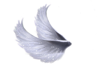 Wings Png 5