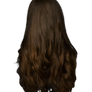 Png Hair 5