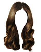 Png Hair 7