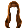 Png Hair 3