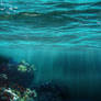 Underwater Bg 2