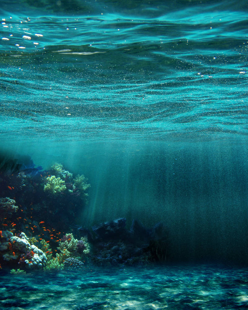Толща воды в океане. Рифы в океане. Дно океана. Море под водой. Дно моря.