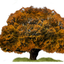 Png Tree