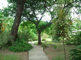 Wp 003629