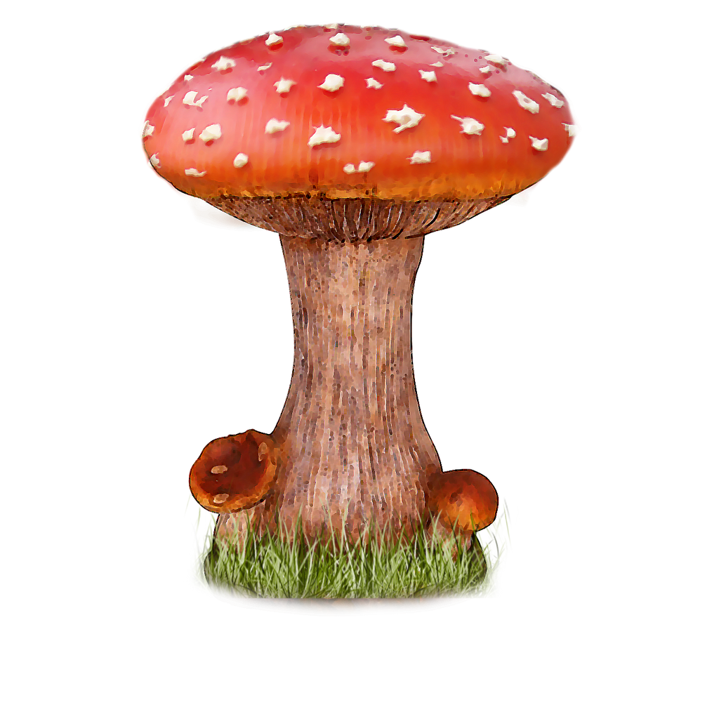 Png Mushroom3