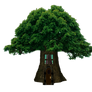 Png Tree House